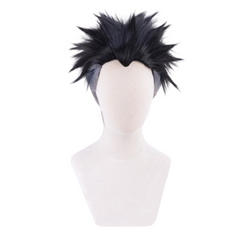 Les Rôdeurs de la Nuit Himejima Gyomei Cosplay Costume