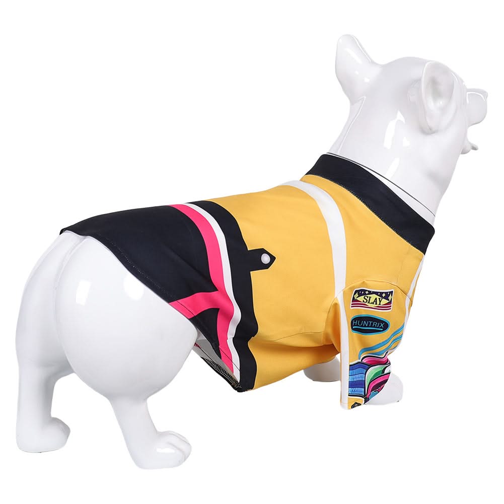 Animal Kpop Demon Hunters(2025) Huntrix Rumi Costume pour Chien