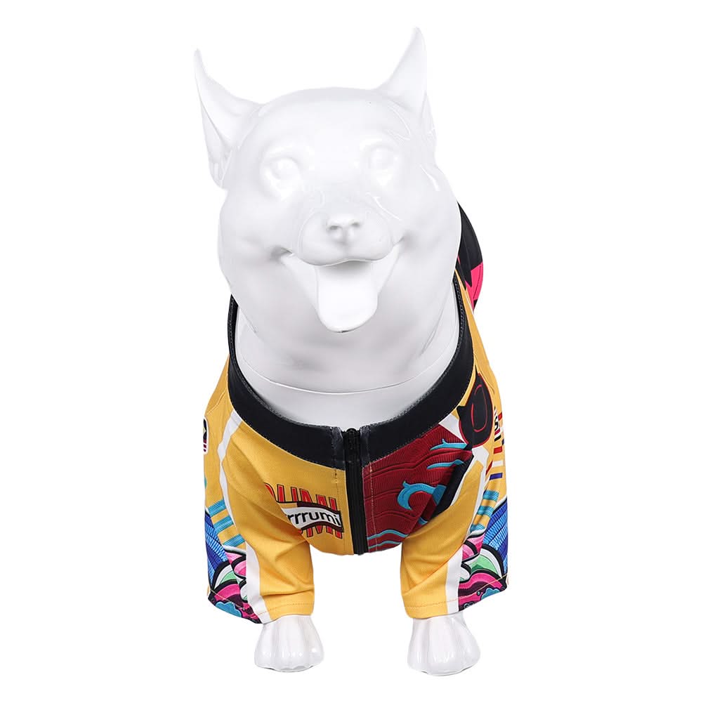 Animal Kpop Demon Hunters(2025) Huntrix Rumi Costume pour Chien