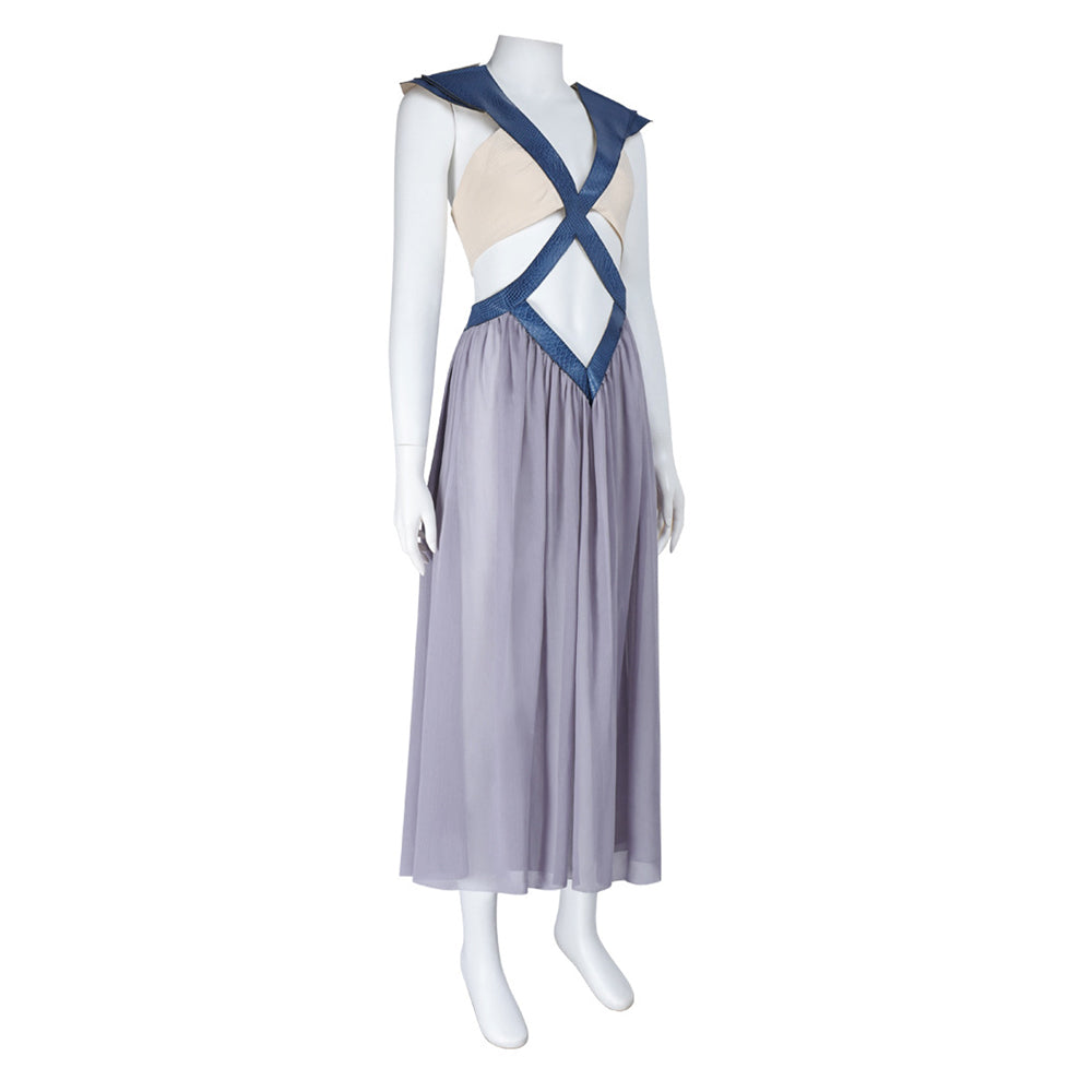 Cosplay Costume Daenerys Targaryen House of the Dragon 3(2026) TV Cosplay Robe Grise Femme