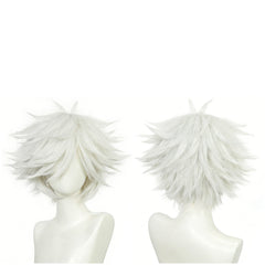 Cosplay Perruque Qifrey Tongari Boushi no Atelier(2026) Anime Perruque Blanche Homme
