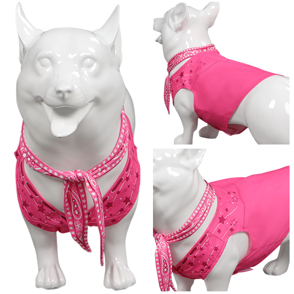 Animal Film Barbie Costume Pour Chien Chiots Halloween Carnaval