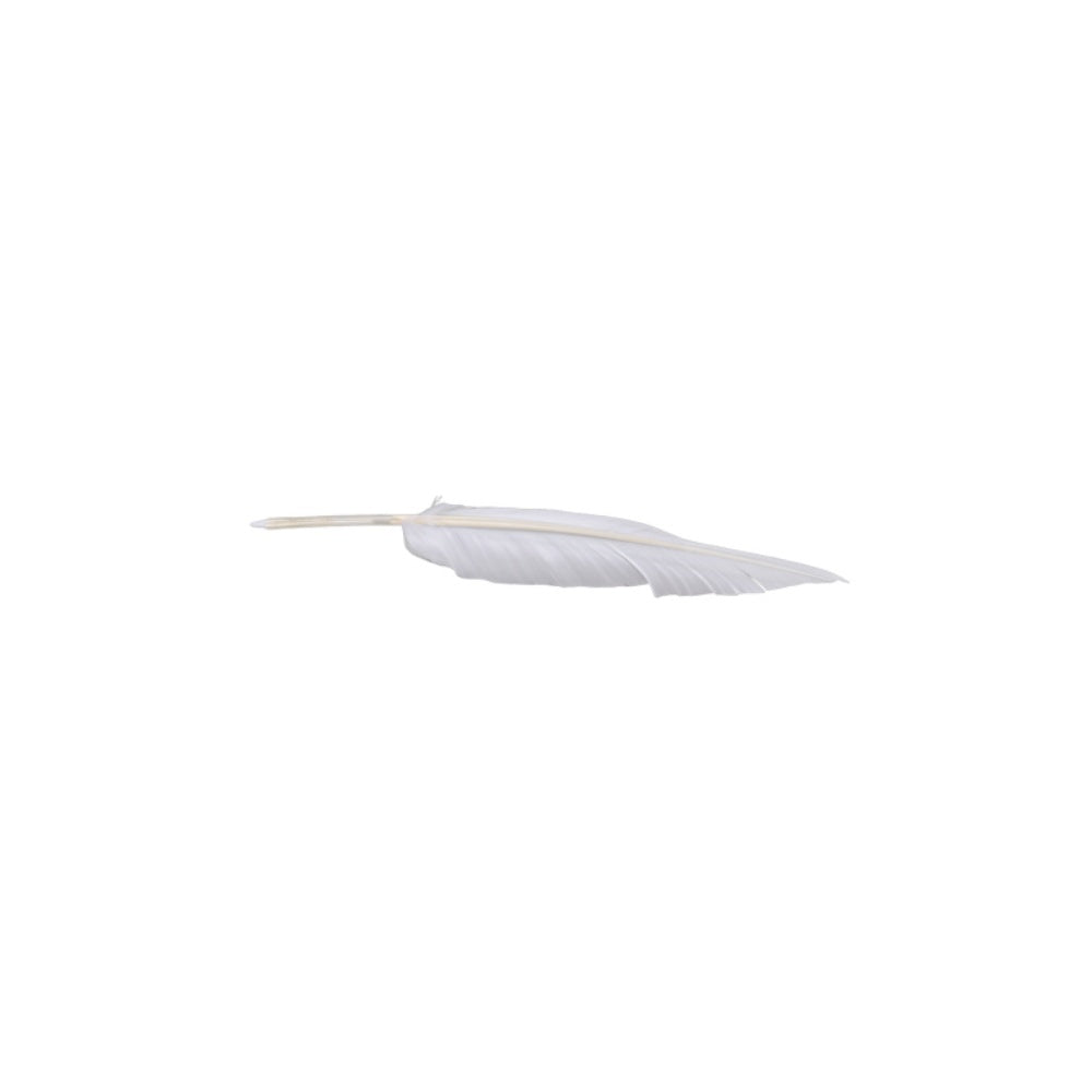 Cosplay Accessoire Frieren: Beyond Journey's End 2(2026) Anime Accessoire