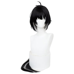 Femme Wuthering Waves Rover Cosplay Perruque