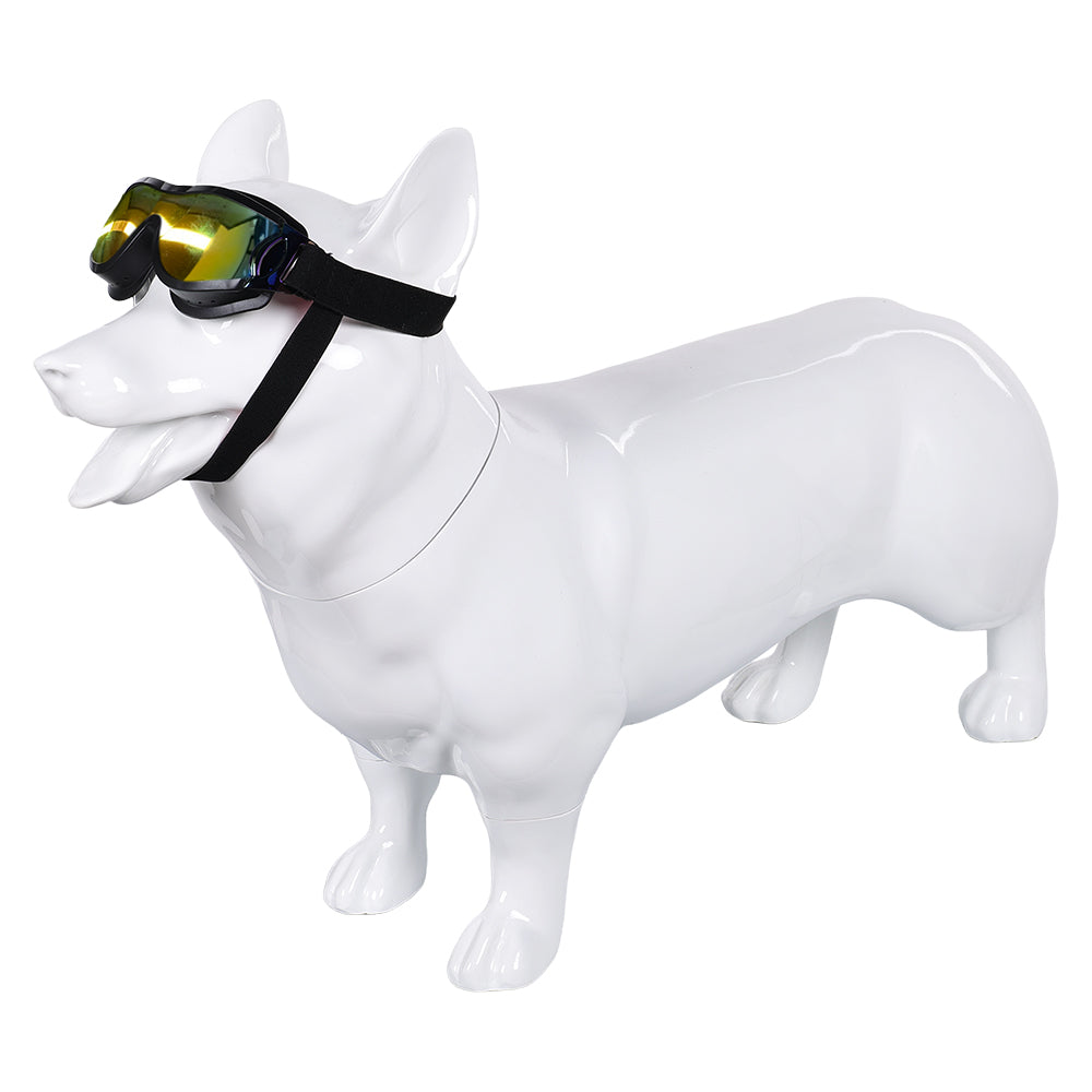 Animal Les Bad Guys 2(2025) Mr. Wolf Lunettes Accessoires pour Chien