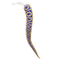 Cosplay Accessories Diego Brando JJBA 7(2026) Anime Cosplay Queue et Chapeau