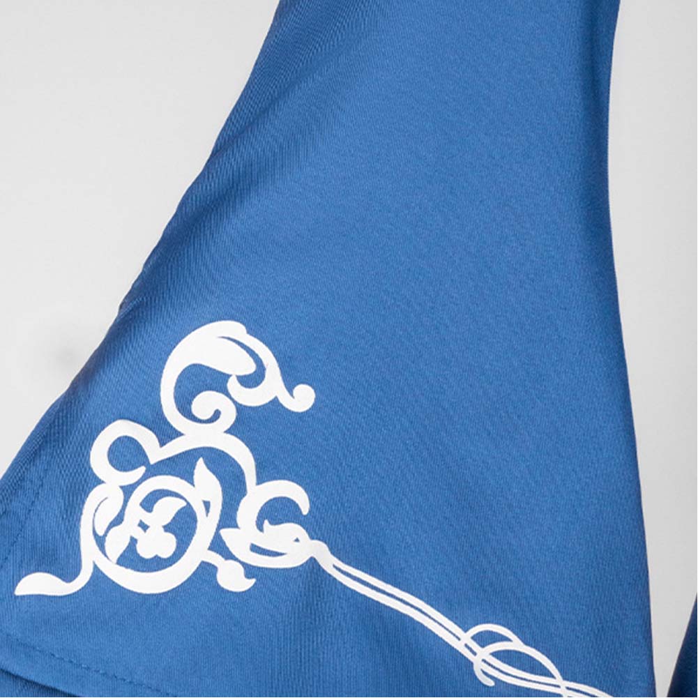 Cosplay Costume Altria Pendragon Fate Grand Order Jeu Cosplay Robe Bleue Femme