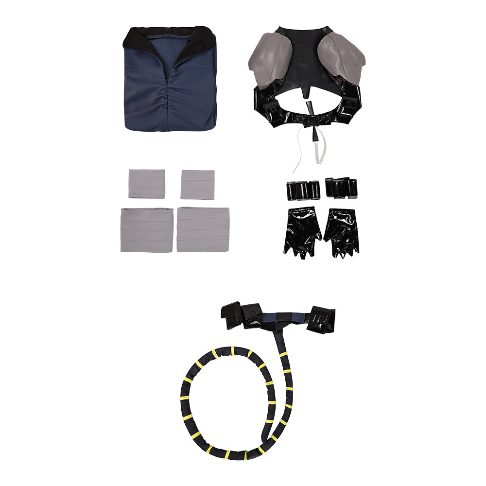 Cosplay Costume Selina Kyle Absolute Catwoman #1(2026) Bande Dessinée Cosplay Tenue Bleue Femme
