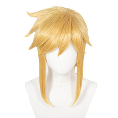 Adulte The Legend of Zelda: Skyward Sword Link Tenue Cosplay Costume