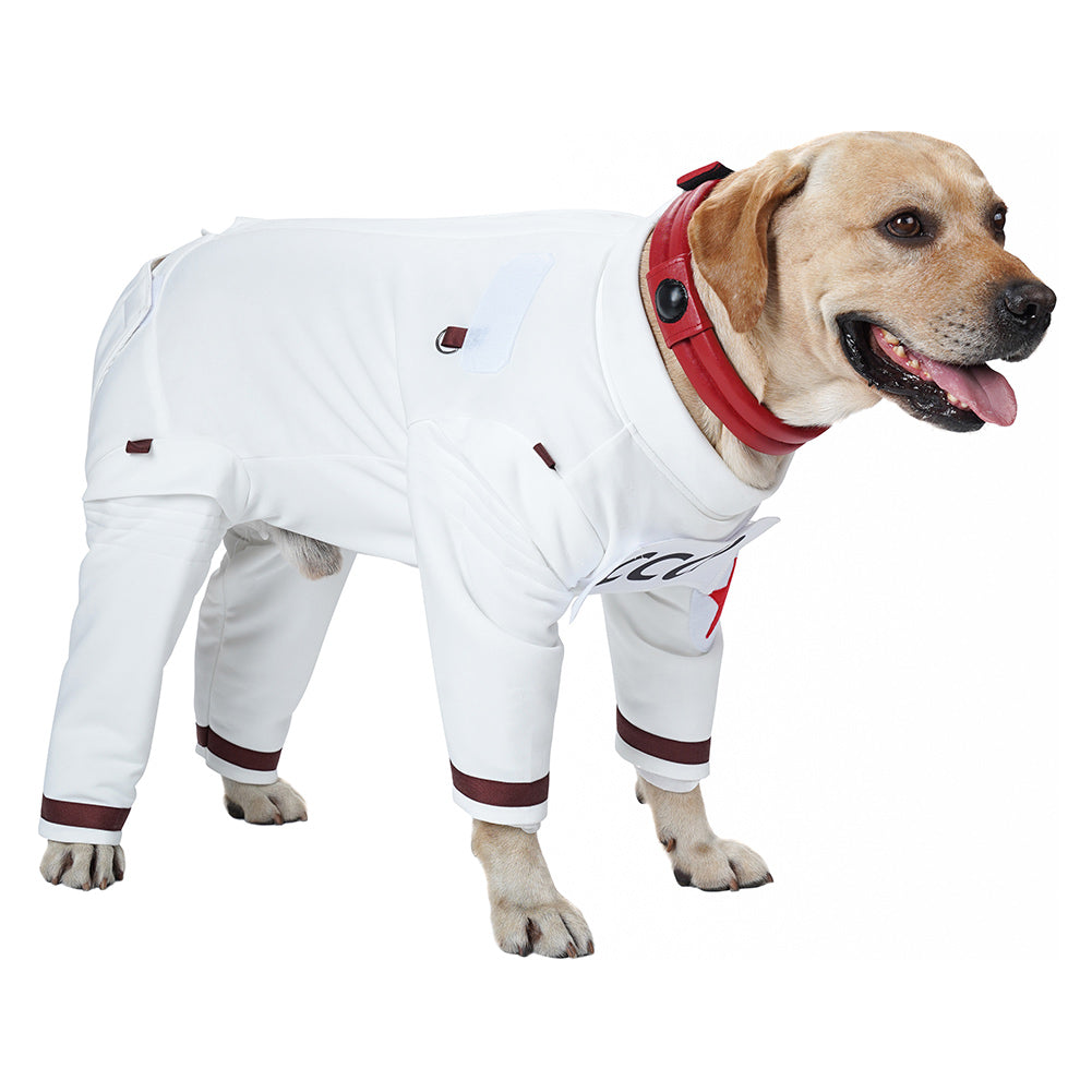 Guardians of the Galaxy Vol. 3 Chien Combinaisons Spatiales Costume