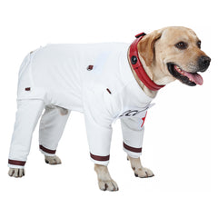 Guardians of the Galaxy Vol. 3 Chien Combinaisons Spatiales Costume