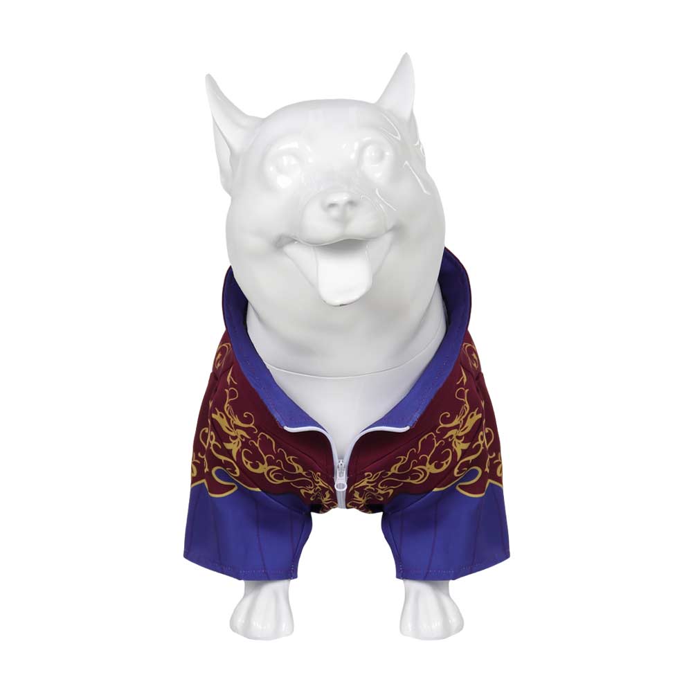 Baldur's Gate Astarion Costume pour Animal Chien 