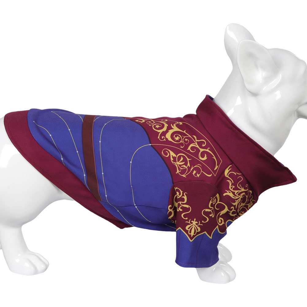 Baldur's Gate Astarion Costume pour Animal Chien 